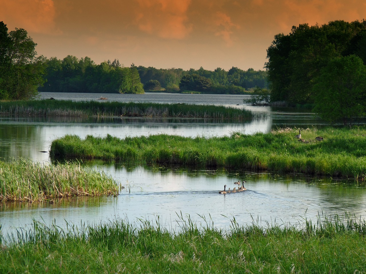 wisconsin, landscape, scenic-114340.jpg
